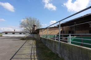 Au dernier plan, le bâtiment des truies. Au premier plan, l’aire de sortie des porcs en pré-engraissement